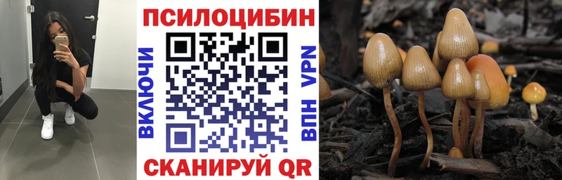 Псилоцибиновые грибы мухоморы где купить наркоту Гудермес